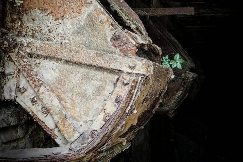 LEBENSZEICHEN-ZOLLVEREIN