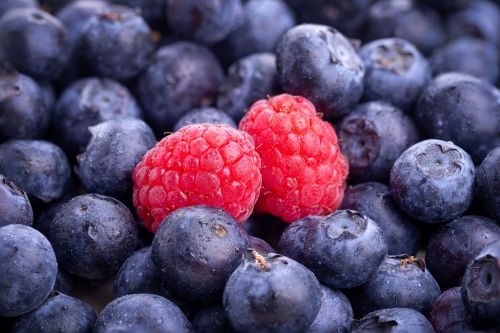 Wir-sind-hier-falsch