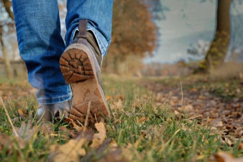 Schritt-für-Schritt