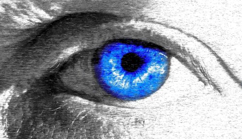 Blue-Eye