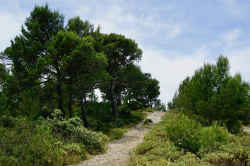 Hochplateau