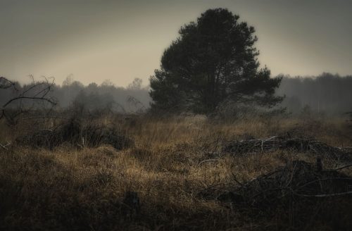 Vor-dem-Winter