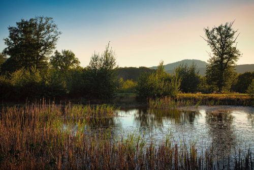 Abendstille-ueber-dem-Maar